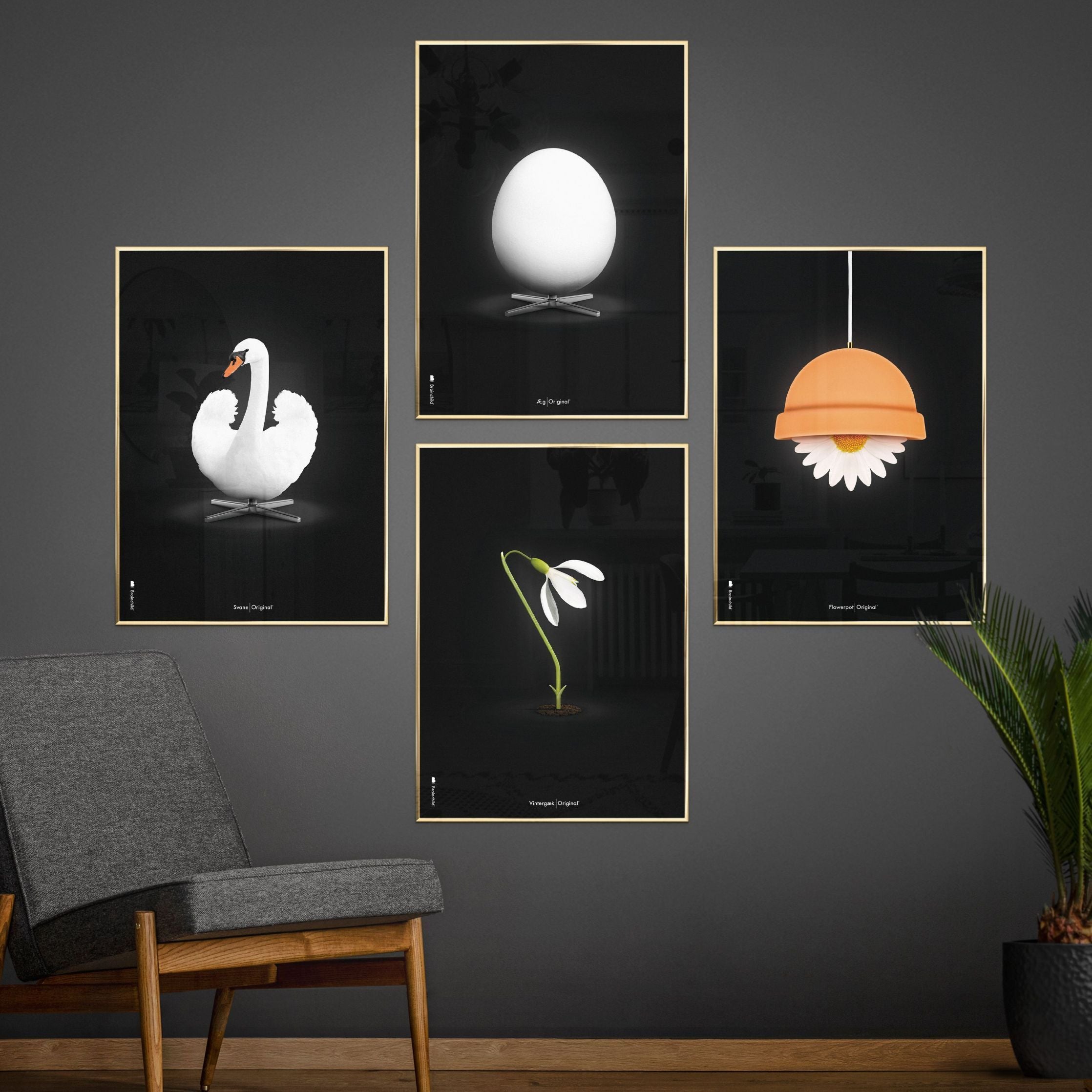 Brainchild Flowerpot Klassisk Plakat, Messingfarvet Ramme A5, Sort Baggrund