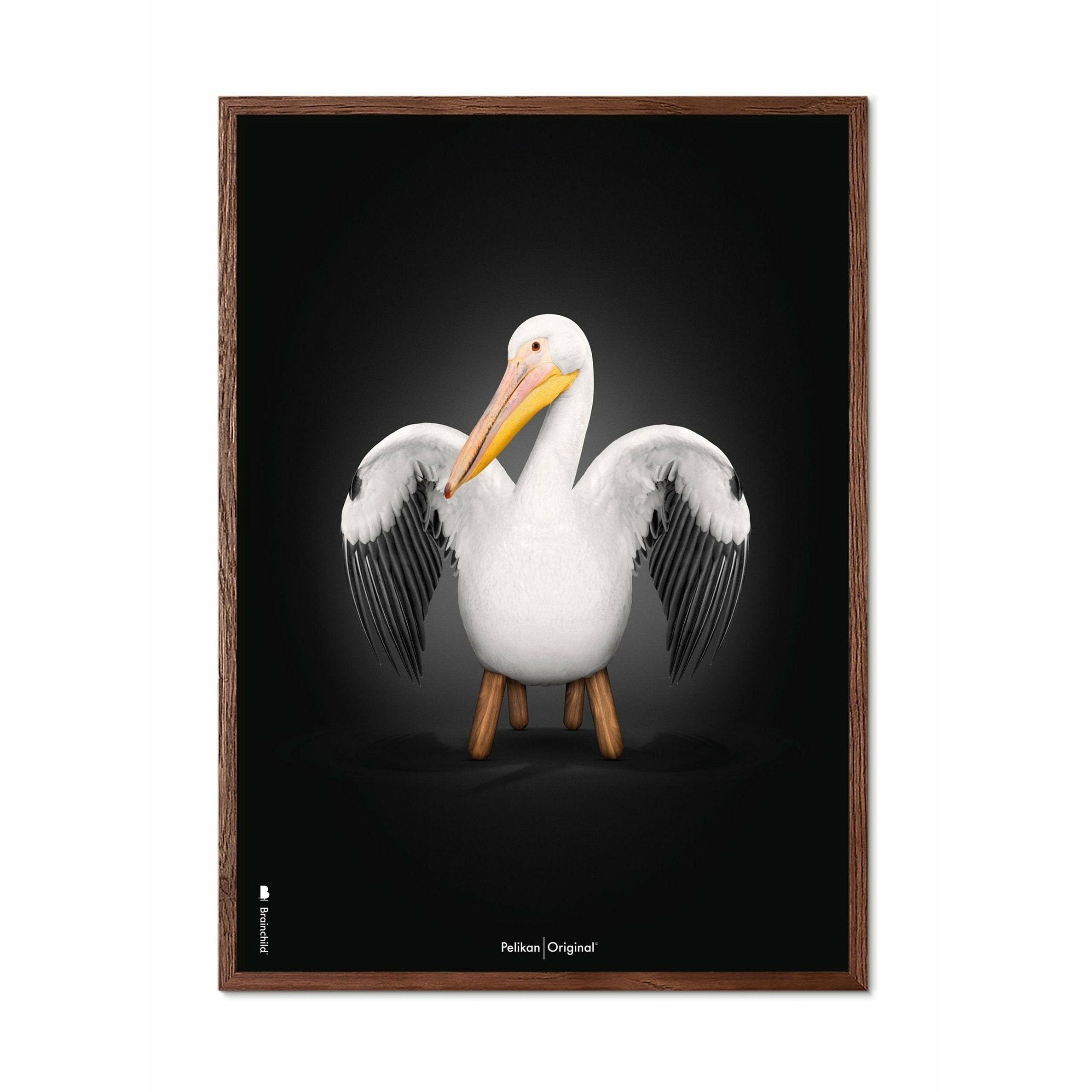 Brainchild Pelikan Klassisk Plakat, Ramme I Mørkt Træ 50X70 Cm, Sort Baggrund