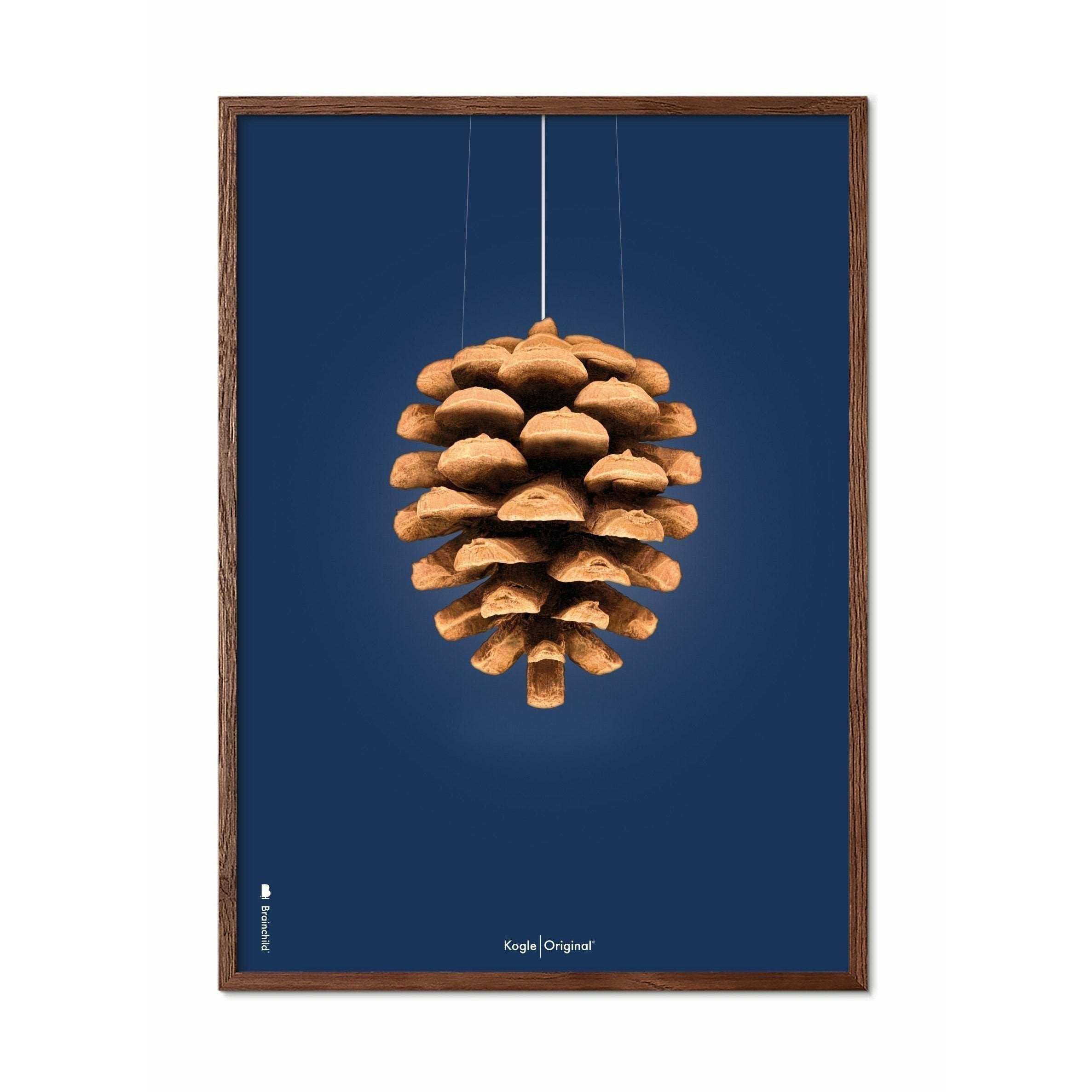 Brainchild Kogle Klassisk Plakat, Ramme I Mørkt Træ 50X70 Cm, Mørkeblå Baggrund