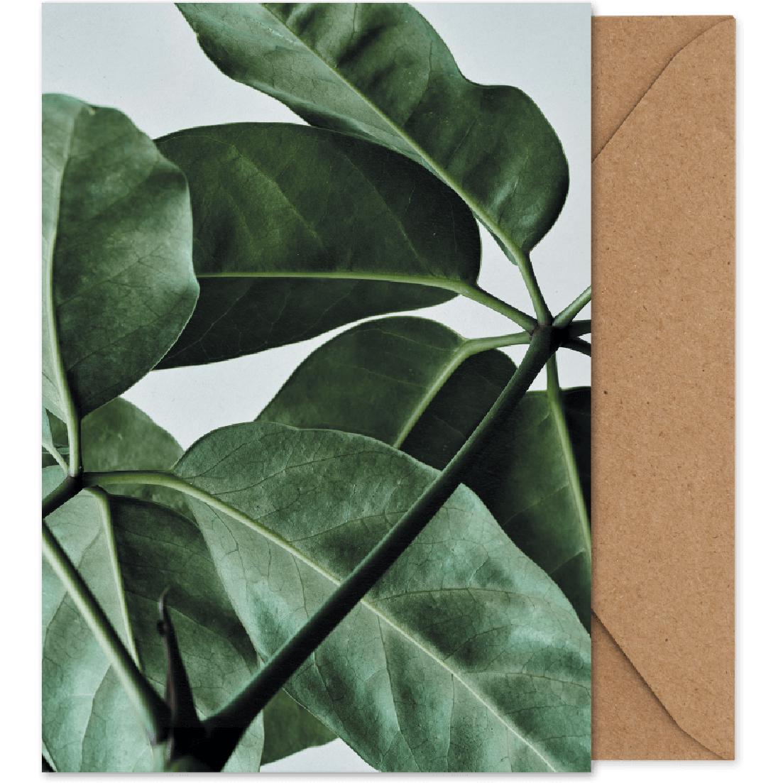 Paper Collective Green Home 01 Art Card