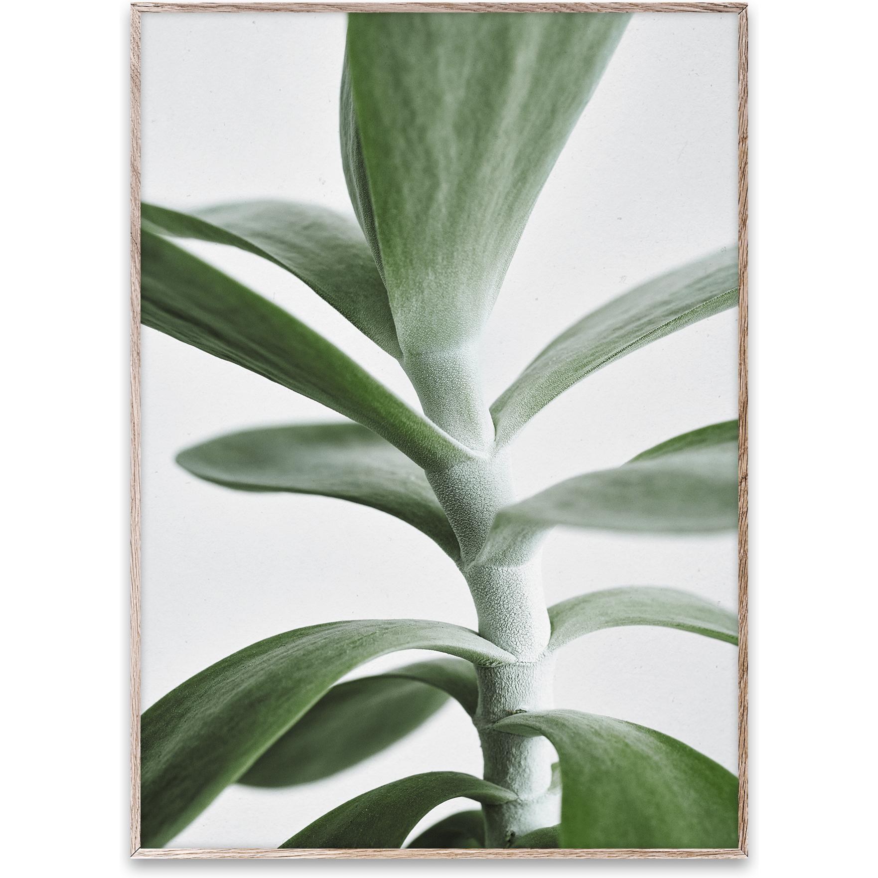 Paper Collective Green Home 04 Plakat, 50X70 Cm