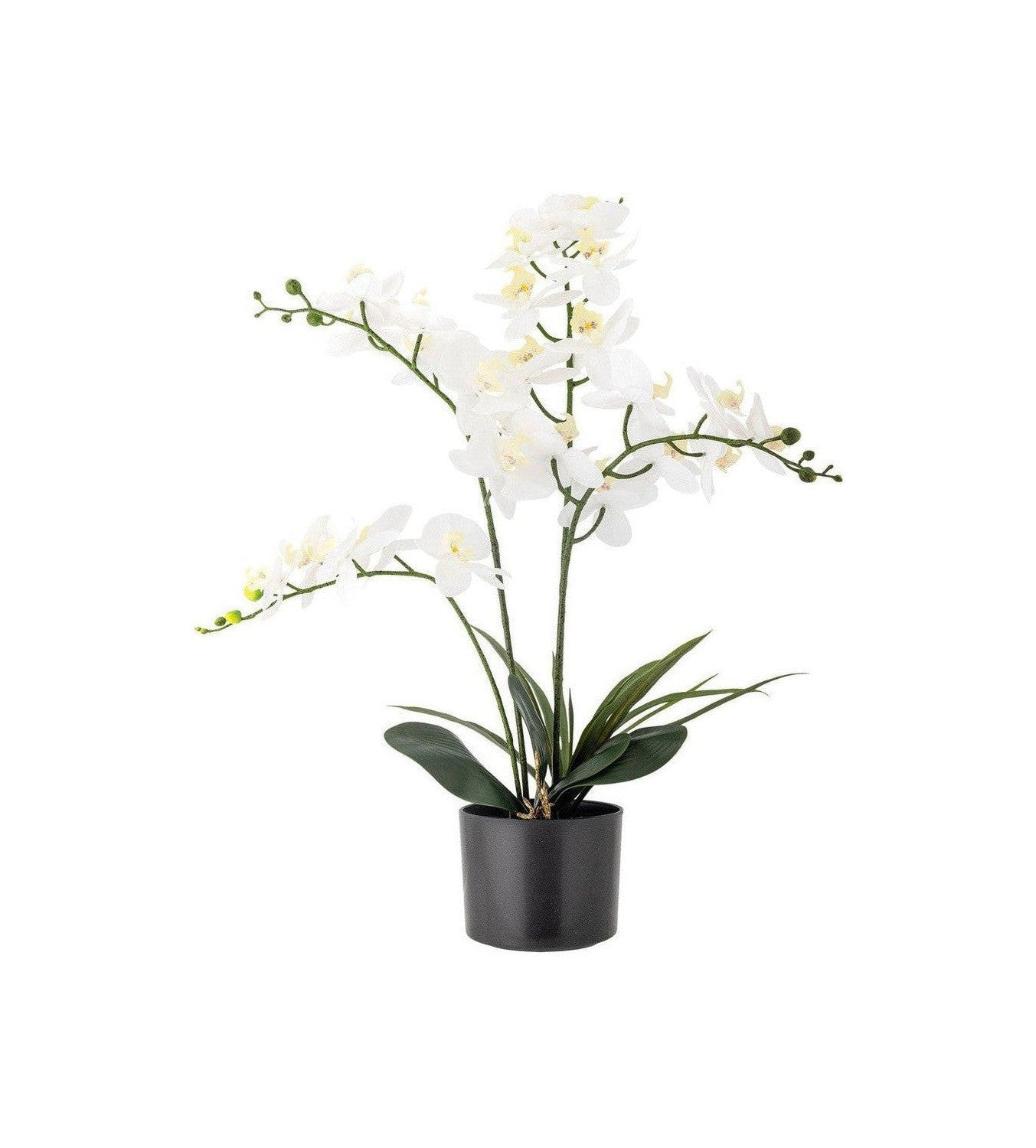 [product_category]-Bloomingville Orchid Artificial Plant, Green, Plastic-Bloomingville-5711173332380-82061501-BLO-1