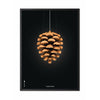 Brainchild Pine Cone Classic Poster, Frame In Black Lacquered Wood 30x40 Cm, Black Background