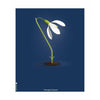 Brainchild Snowdrop Classic Poster Without Frame 70 X100 Cm, Dark Blue Background