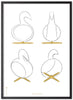 Brainchild Swan Design Sketches Poster Frame Made Of Black Lacquered Wood 50x70 Cm, White Background