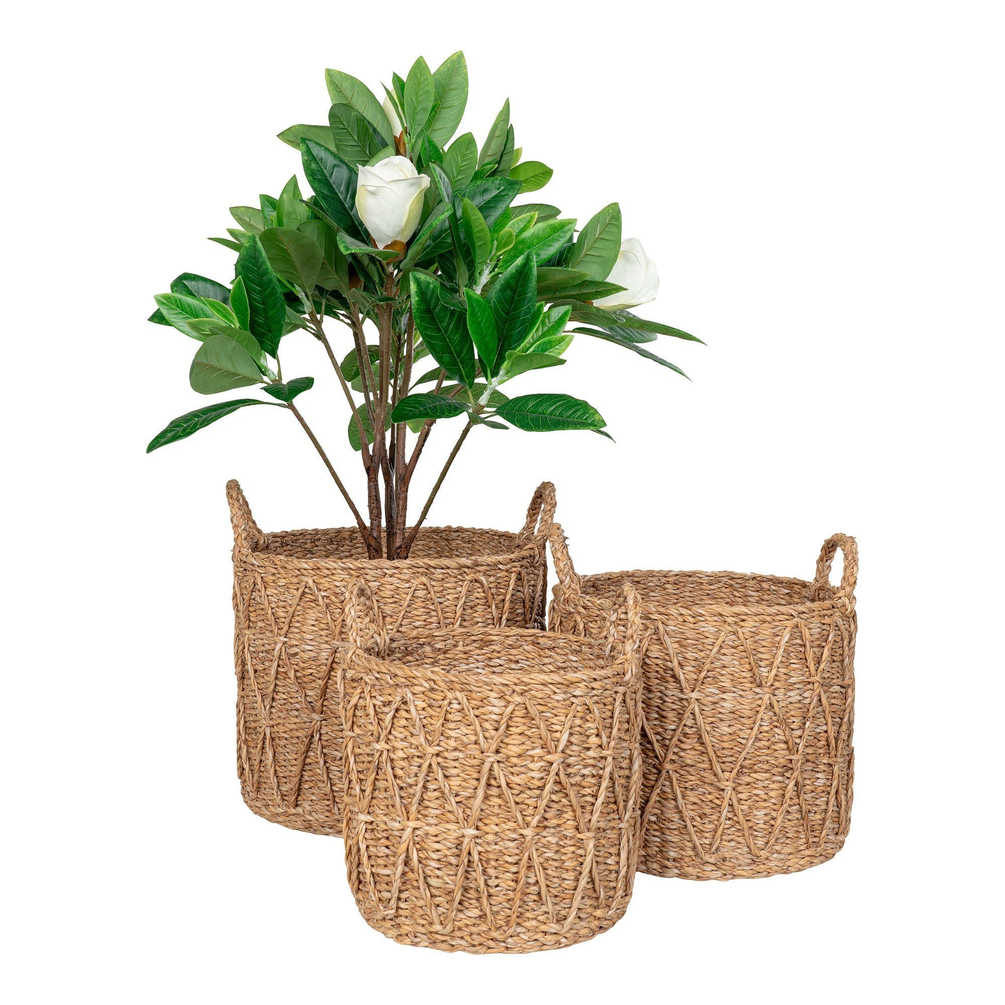 House Nordic Krabi Basket