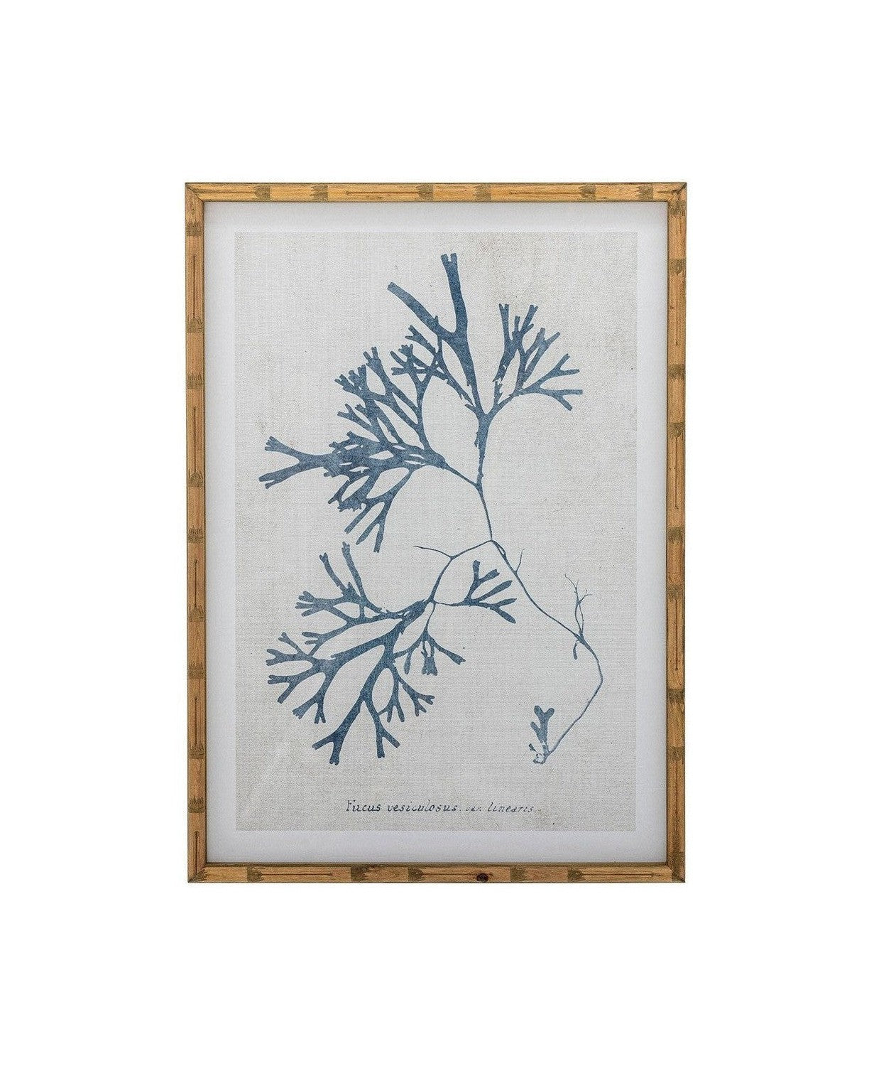 [product_category]-Creative Collection Sumner Illustration w/ Frame, Nature, Firwood-Creative Collection-5711173334827-82064576-BLO-1