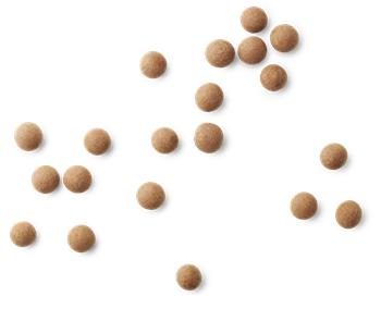 [product_category]-Lakrids By Bülow D Salt & Caramel, 125 Grams-Lakrids By Bülow-5710858000767-500076-LAK-4