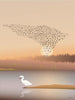 Vissevasse Murmuration Poster, 30x40 Cm