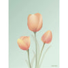 Vissevasse Tulipaner Plakat, Mint, 30X40 Cm