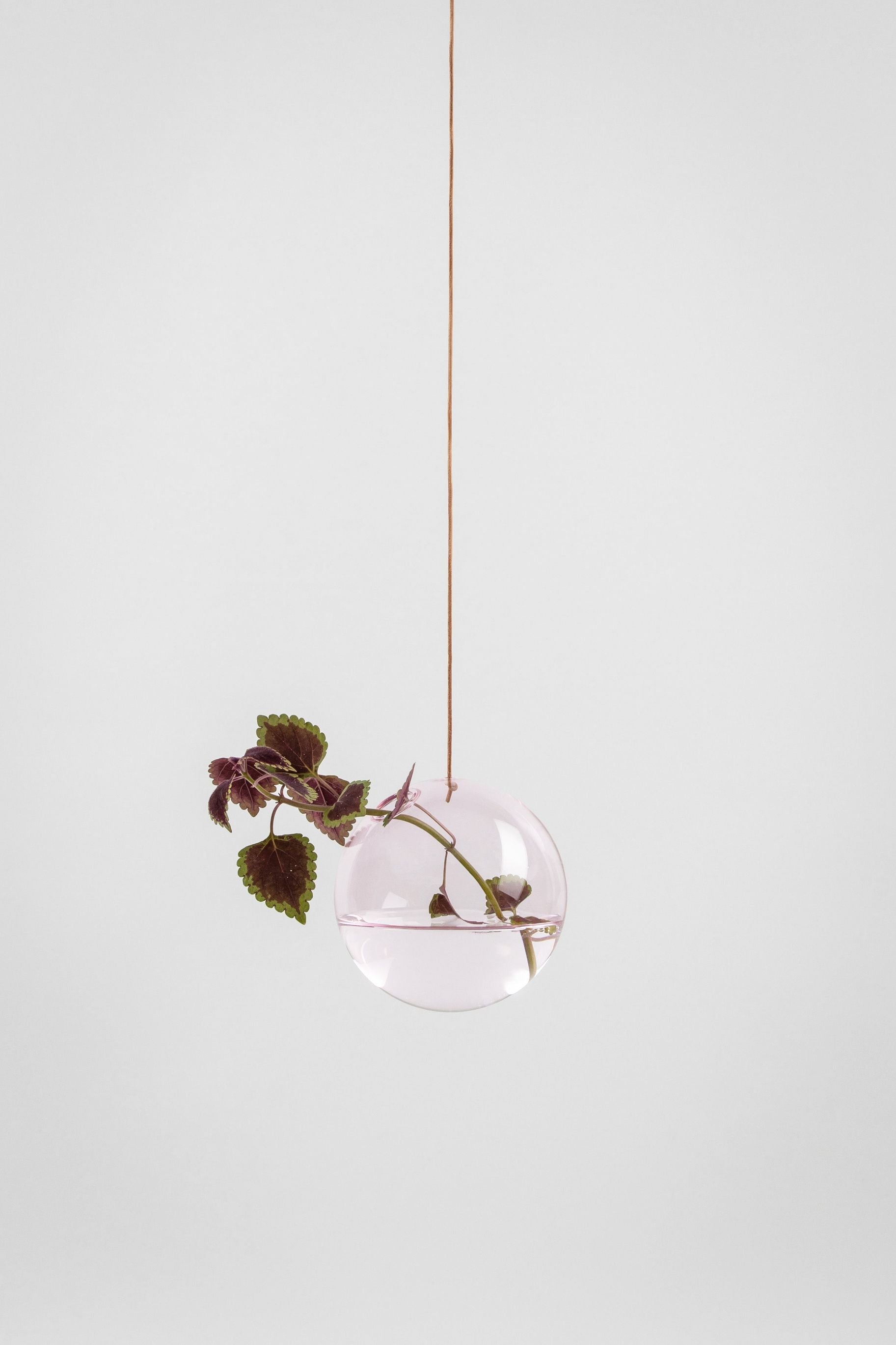 Studio About hængende blomsterboble vase medium, rose
