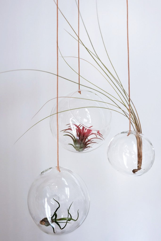 Studio About hængende planteboble vase stor, gennemsigtig